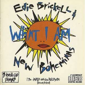 Edie Brickell & New Bohemians / What I Am / I Do / Walk On The 