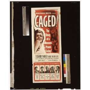  Caged,Eleanor Parker,Joan Miller,Jan Sterling,Poster