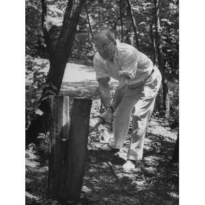  John Foster Dulles Chopping Wood on His Cold Spring Harbor 