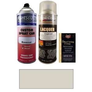  12.5 Oz. Bright Silver (matt) Spray Can Paint Kit for 2010 