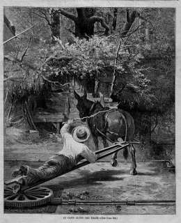 MULE, DONKEY AT WORK, 1874 ANTIQUE WOOD CUT ENGRAVING  