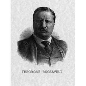  US President Theodore Roosevelt Premium Poster Print 