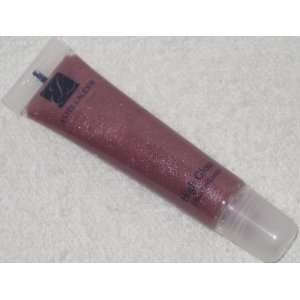   Lauder High Gloss Ultra Brilliance in Amethyst   Discontinued Beauty