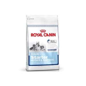  Royal Canin Maxi Starter Mother & Babydog Dry Dog Food 26 