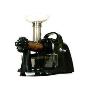  Progress Earth Electric Healthy Juicer