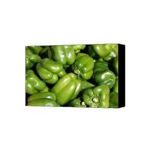 trip through the farmers market featuring Green Bell Peppers Canvas 
