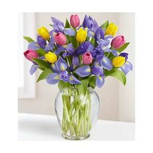   Flowers   Flowers by 1800Flowers   Fanciful Tulip and Iris Bouquet