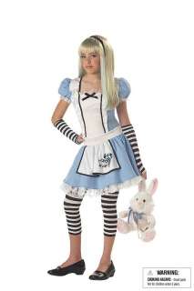 Alice in Wonderland Tween Childrens Halloween Costume Brand New  