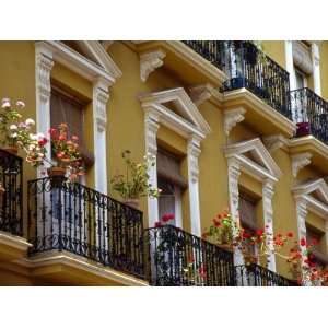 Spain, Sevilla, Andalucia Geraniums hang over iron balconies of 