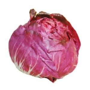 Todds Seeds   Chicory   Rossa Di Verona Chicory Seed, Sold by the 