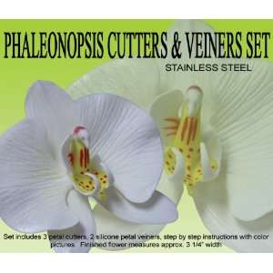  Phaleonopsis (Moth) Orchid Gumpaste Cutter Kitchen 