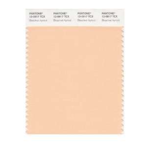  PANTONE SMART 12 0917X Color Swatch Card, Bleached Apricot 