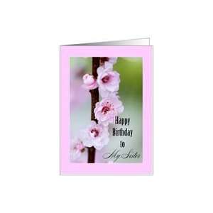  Happy Birthday to my sister   Cherry Blossoms Card Health 