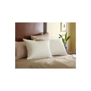  Pacific Coast® Eurofeather® Fill Pillow   Queen  20x30 