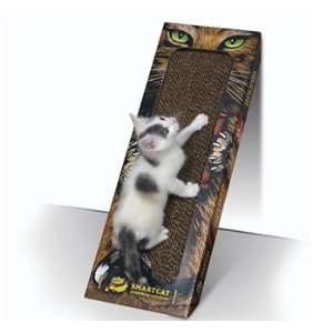   Pioneer Pet Inclined to Scratch Cardboard Scratch Ramp