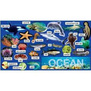  Ocean Plants & Animals Mini Bulletin Board (TF8078 