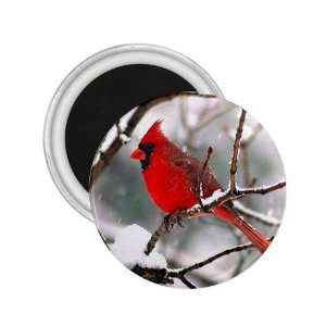  Cardinal Red Bird Refrigerator Magnet