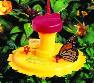 NEW BUTTERFLY FEEDER / NECTAR COMBO  