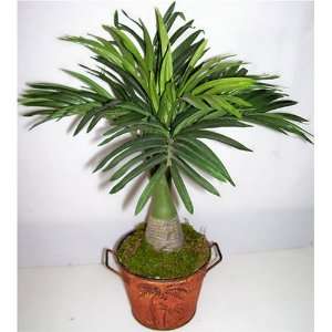 16 Artificial Coconut Palm in Tropical Container  Kitchen 