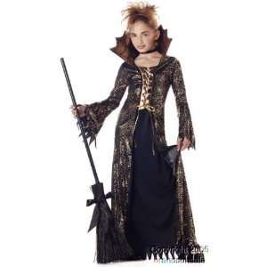  Childs Spider Witch Costume (SizeLarge 10 12) Toys 