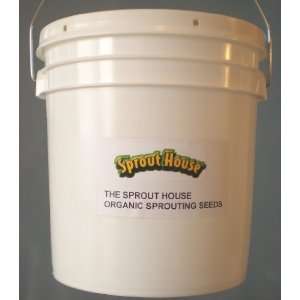 The Sprout House Organic Sprouting Seeds Alfalfa 5 Pounds in a Bucket 