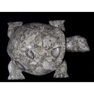  Fossil Stone Turtle Figurine, Unique Marble Animals   5L 