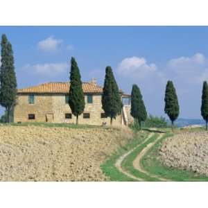  Villa with Cypress Trees, Pienza, Tuscany, Italy Premium 