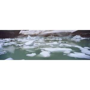  Ice Floes Floating in Water, Angel Glacier, Mt Edith 