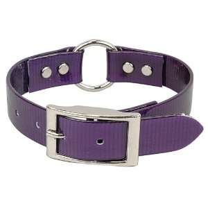   Sunglo Ring In Center Style Collars   1 x 30   Purple